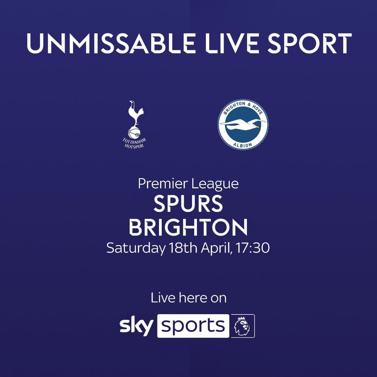 Spurs vs Brighton