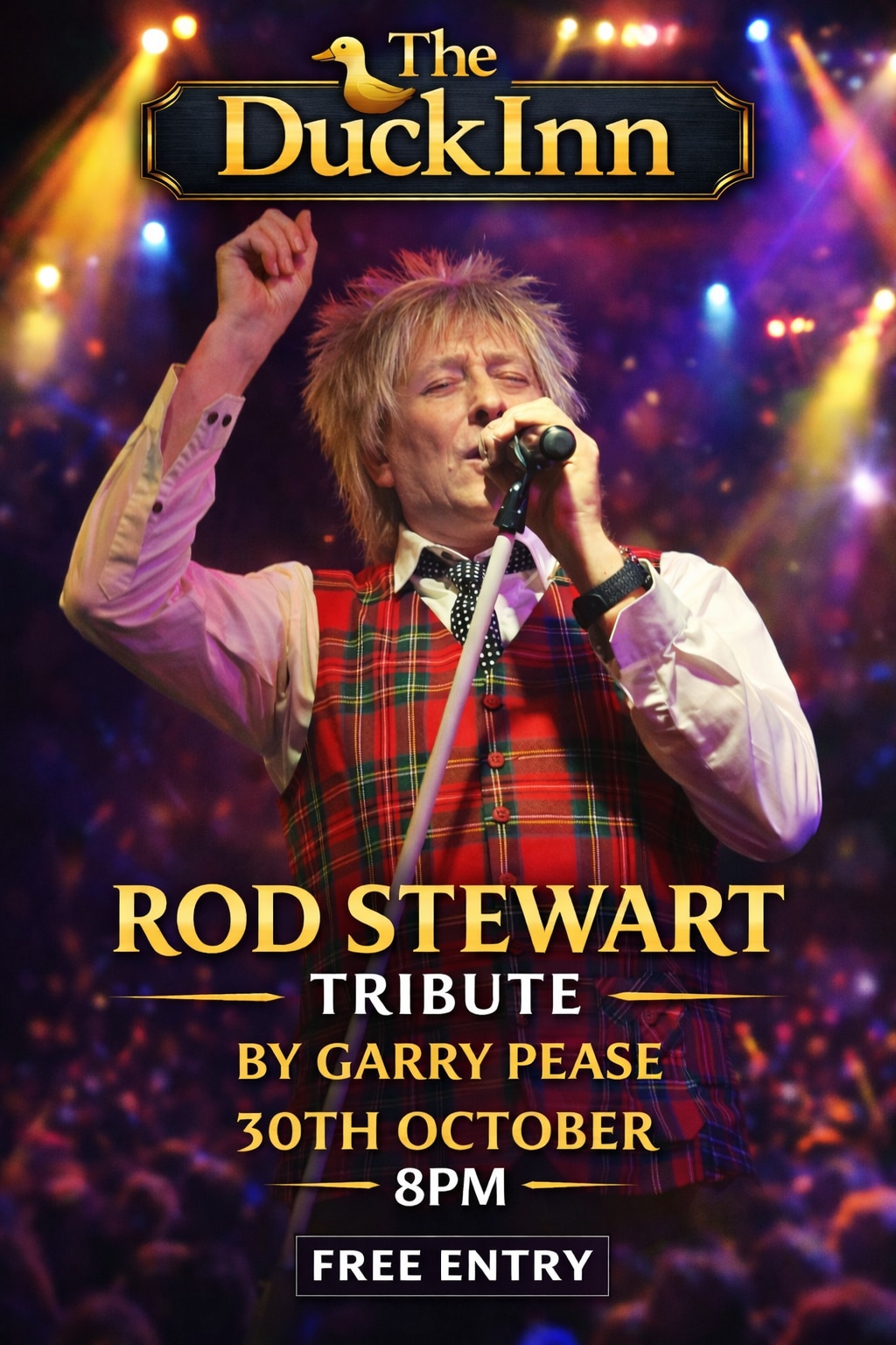 Rod Stewart Tribute 
