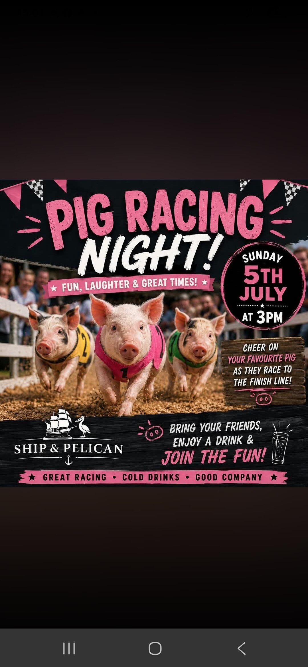Pig Racing 