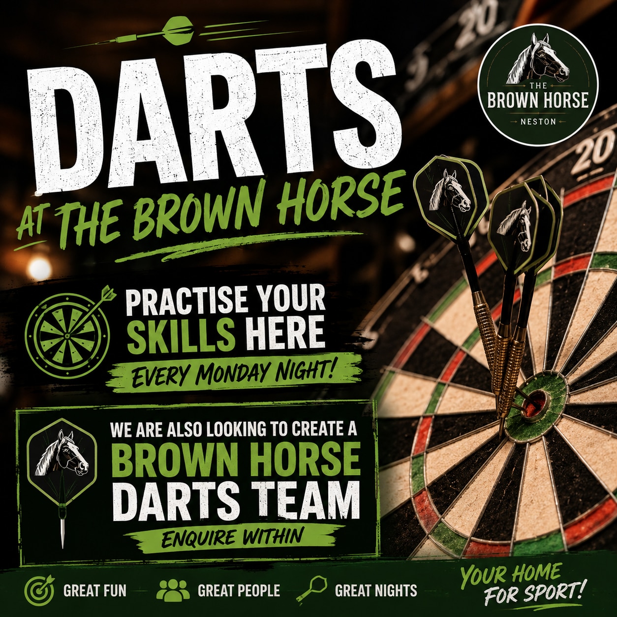 🎯 DARTS AT THE BROWN HORSE NESTON! 🎯