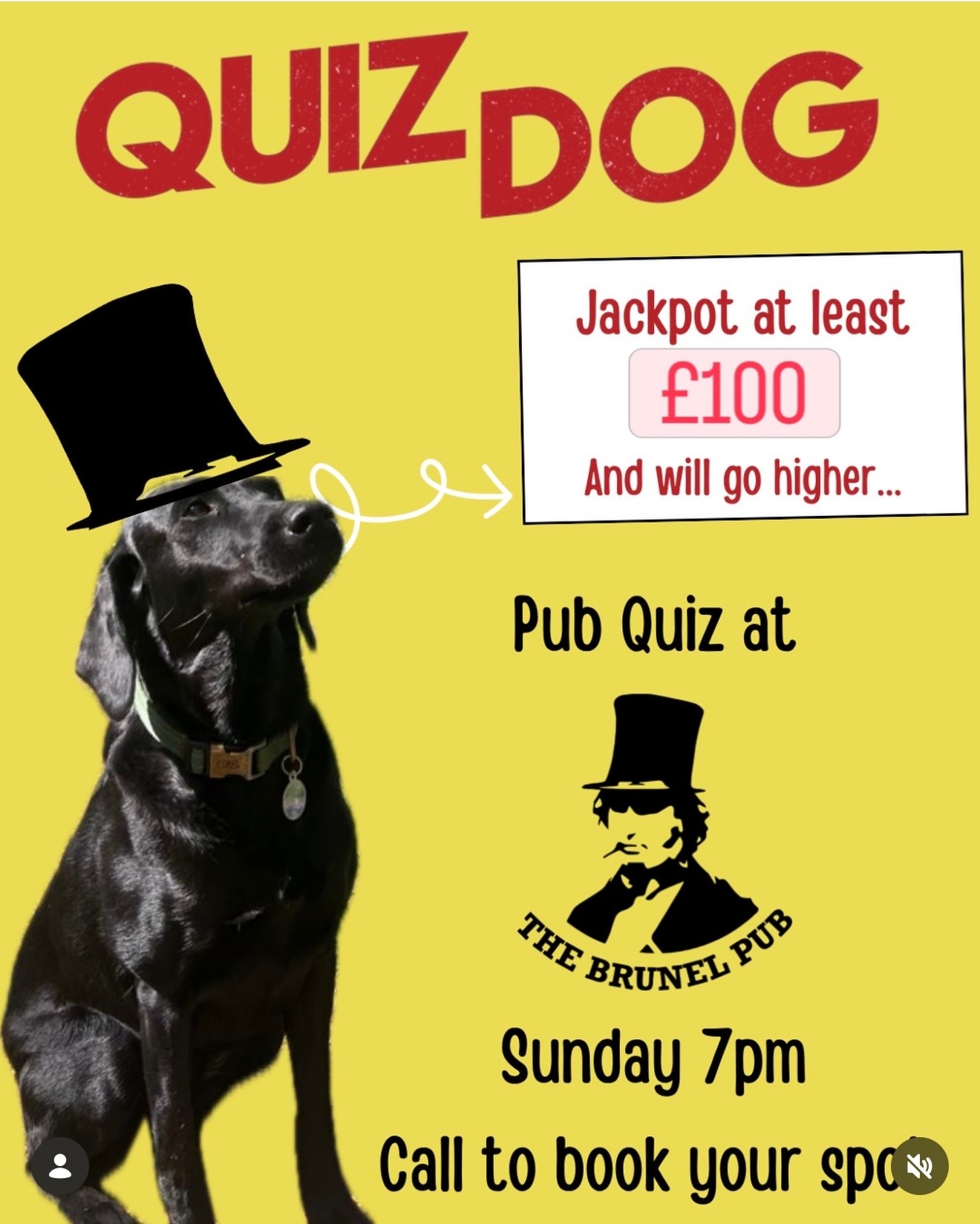 Quiz Dog @ The Brunle