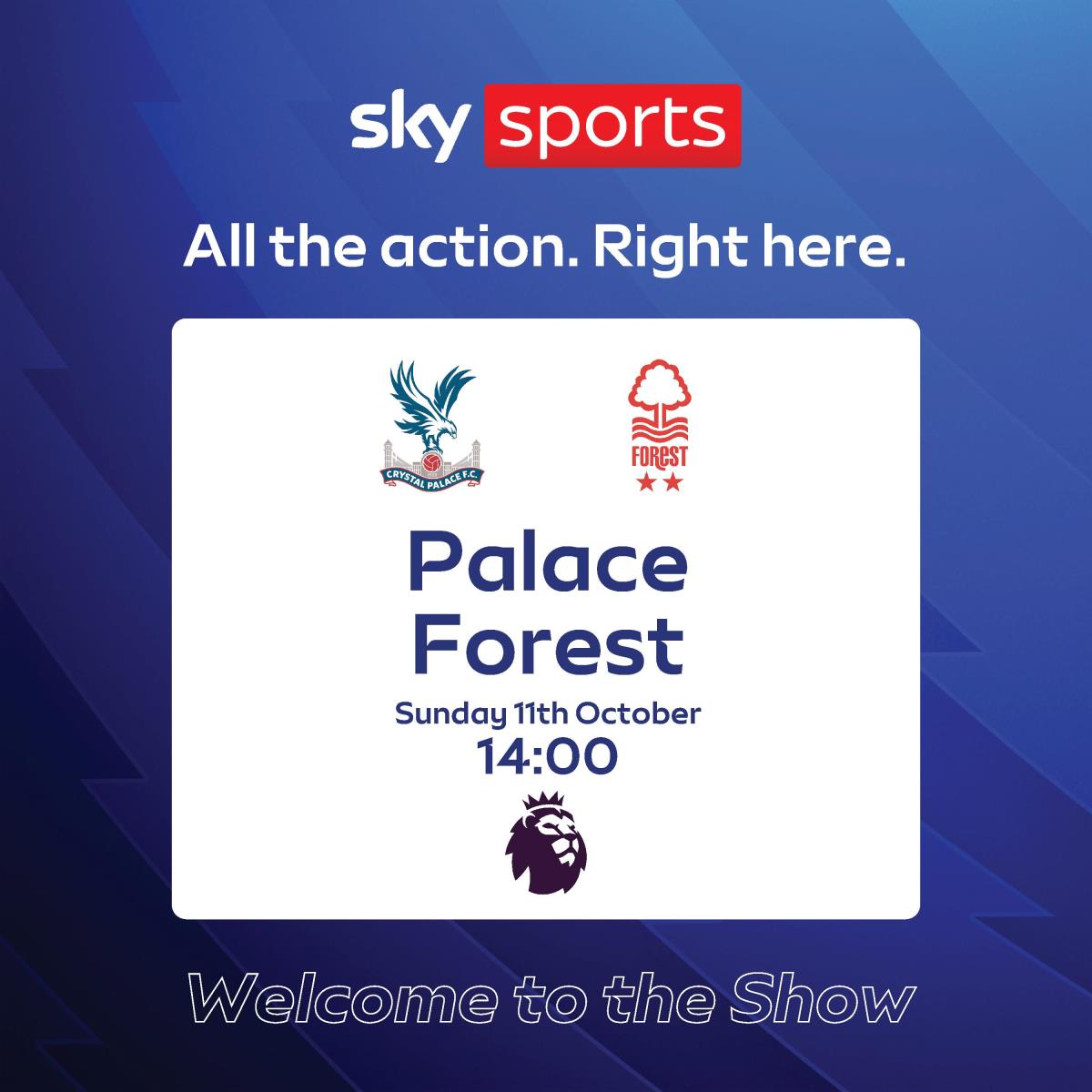 Palace vs Forest 