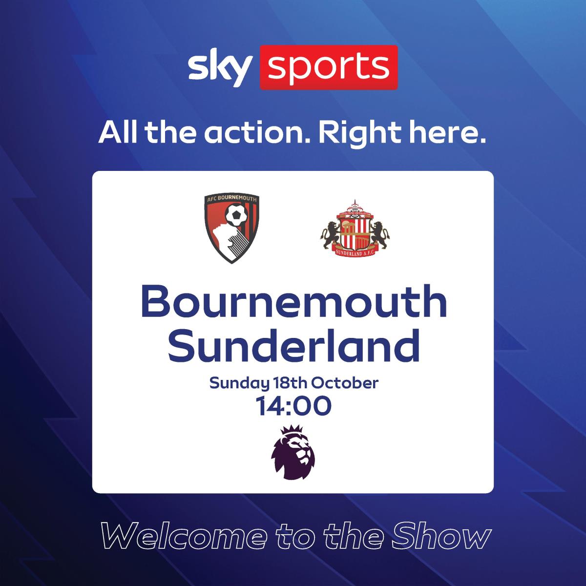 BOURNMOUTH V SUNDERLAND