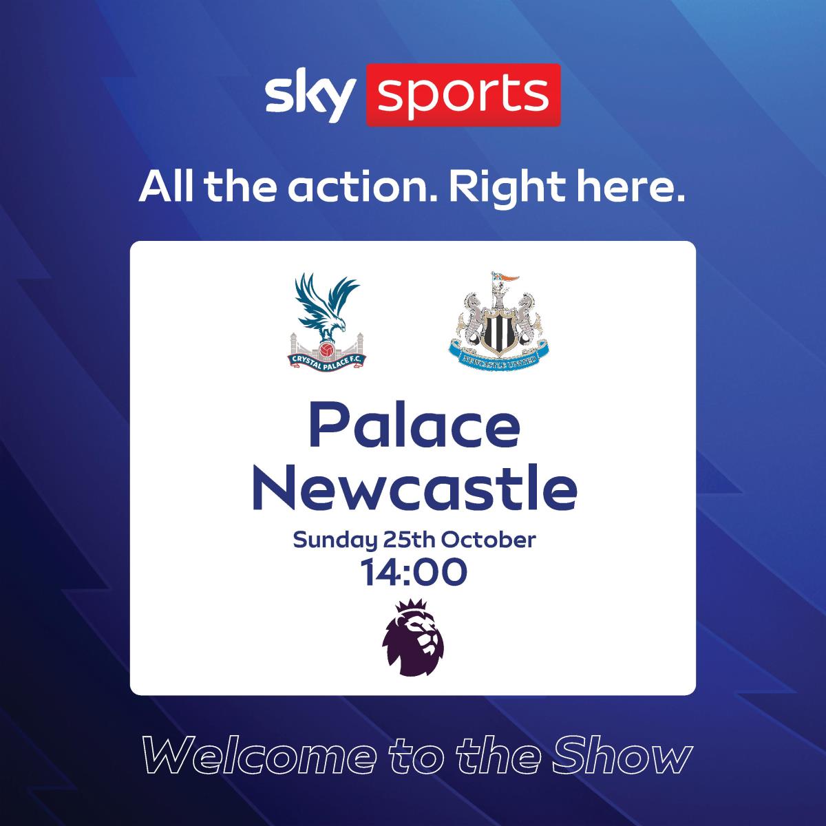 CRYSTAL PALACE V NEWCASTLE UNITED